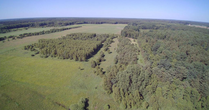 Działka Sprzedaż Krzywice 1