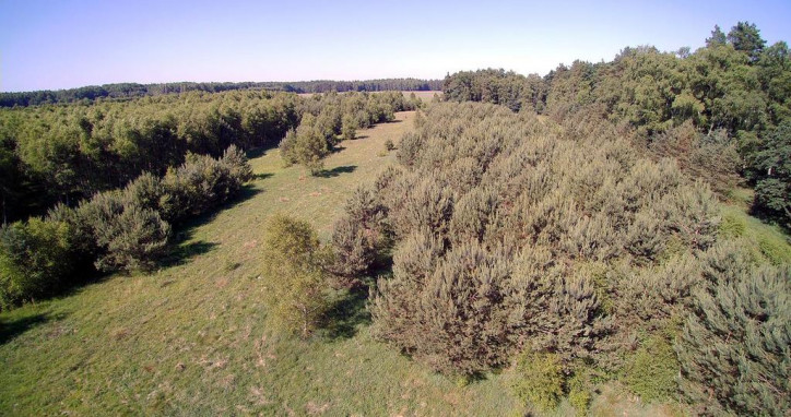 Działka Sprzedaż Krzywice 3