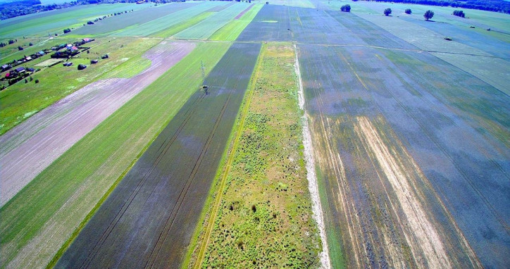 Działka Sprzedaż Tucze 13