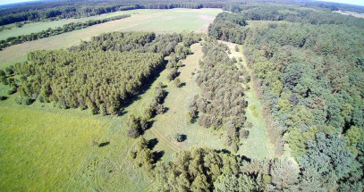 Działka Sprzedaż Krzywice