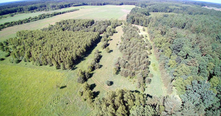 Działka Sprzedaż Krzywice 2
