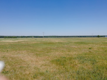 Działka Sprzedaż Żdżary