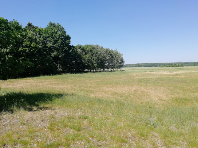 Działka Sprzedaż Żdżary 4