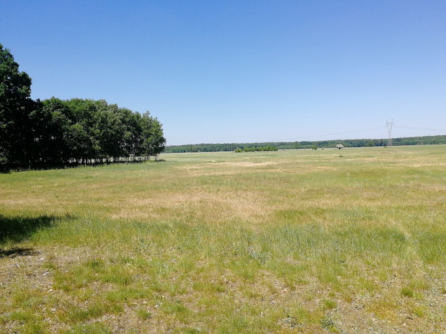 Działka Sprzedaż Żdżary 5