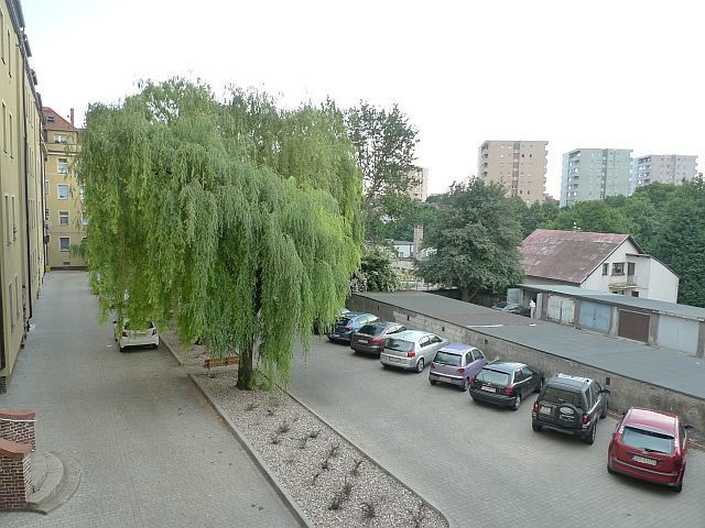 Mieszkanie Wynajem Szczecin Niebuszewo Boguchwały 7