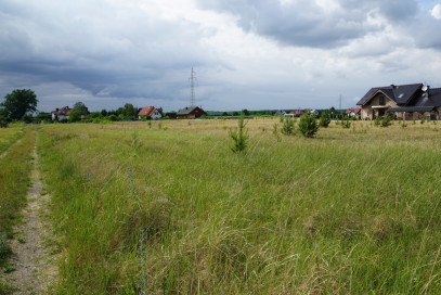Działka Sprzedaż Rurzyca