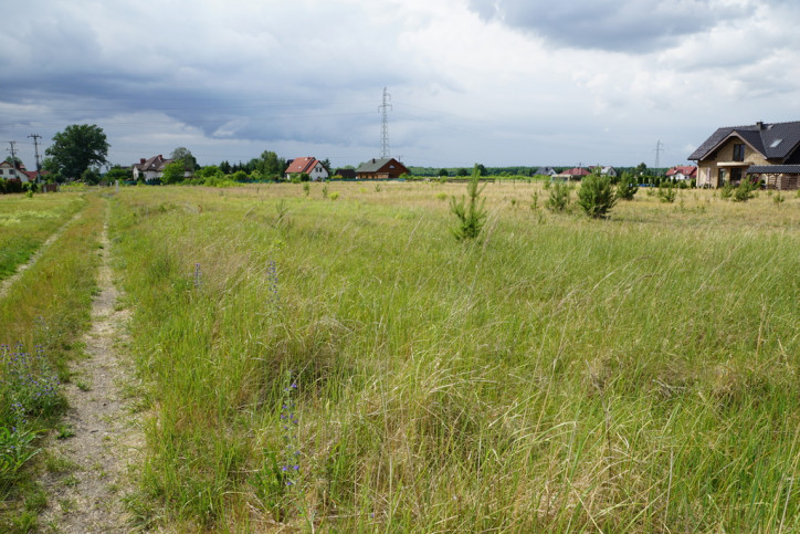 Działka Sprzedaż Rurzyca 7