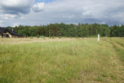 Działka Sprzedaż Rurzyca