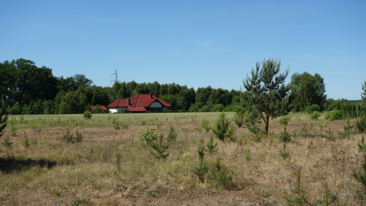 Działka Sprzedaż Rurzyca Dobroszyn 2
