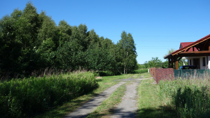 Działka Sprzedaż Rurzyca Dobroszyn 1
