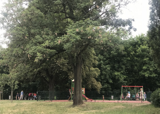 Mieszkanie Sprzedaż Szczecin Żelechowa Hoża 8