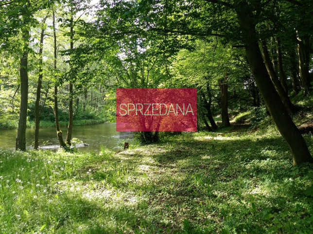 Działka Sprzedaż Barnimie 3