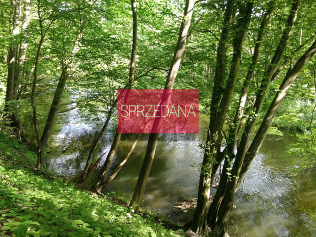 Działka Sprzedaż Barnimie 6