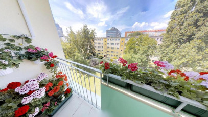 Mieszkanie Sprzedaż Szczecin Centrum Jacka Malczewskiego