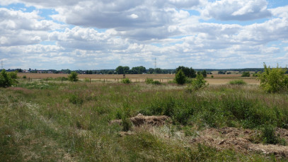 Działka Sprzedaż Wołczkowo