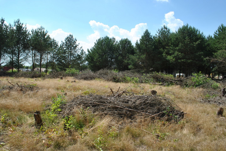 Działka Sprzedaż Rurzyca 3