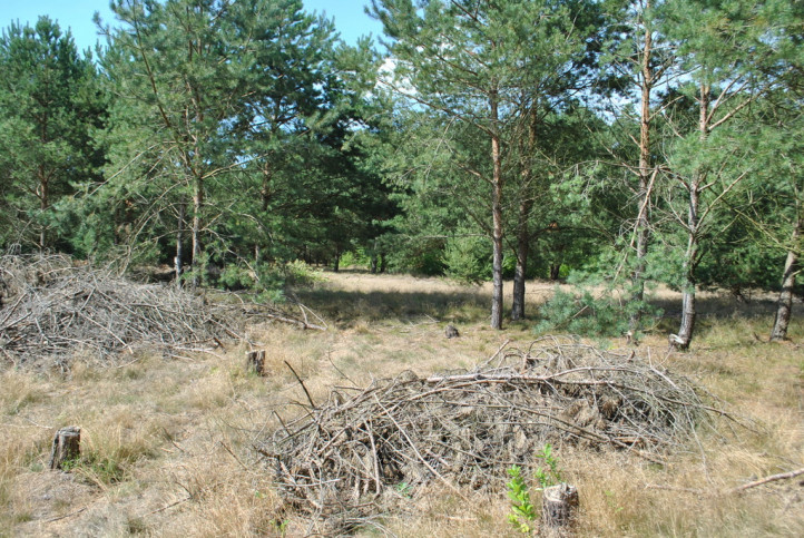 Działka Sprzedaż Rurzyca 4
