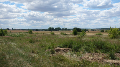Działka Sprzedaż Wołczkowo