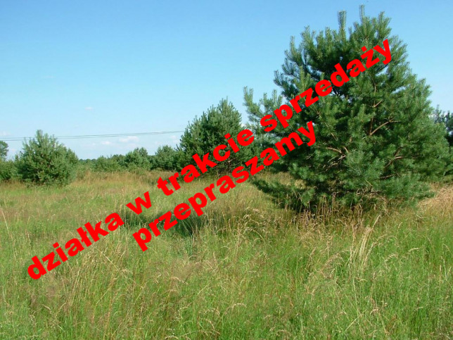 Działka Sprzedaż Dzisna 1