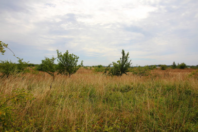 Działka Sprzedaż Karwowo