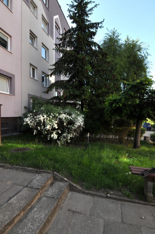 Mieszkanie Sprzedaż Szczecin os. Bukowe Fioletowa 7