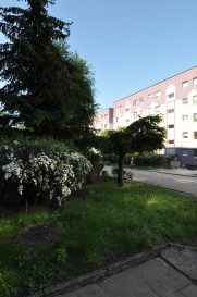 Mieszkanie Sprzedaż Szczecin os. Bukowe Fioletowa