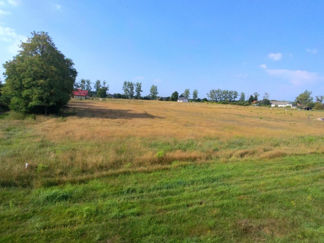 Działka Sprzedaż Białuń 1