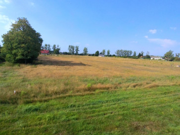 Działka Sprzedaż Białuń