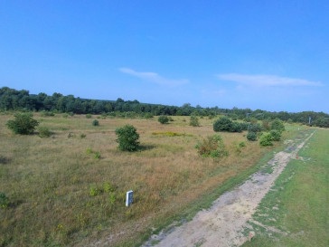 Działka Sprzedaż Białuń