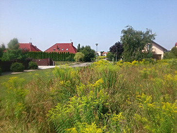 Działka Sprzedaż Mierzyn Słowiańska