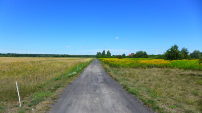 Działka Sprzedaż Szczecin Wielgowo Stary Szlak