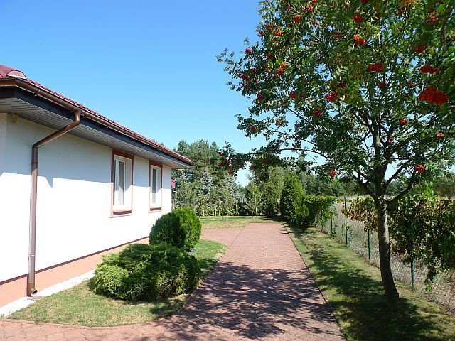 Dom Sprzedaż Wierzchosław 5