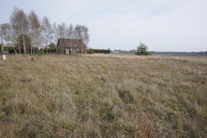 Działka Sprzedaż Lubczyna