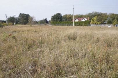 Działka Sprzedaż Lubczyna
