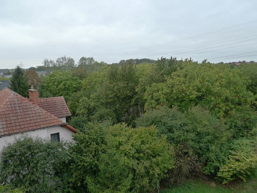 Mieszkanie Sprzedaż Szczecin Warszewo Czeska