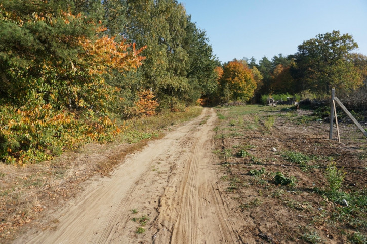 Działka Sprzedaż Goleniów 6