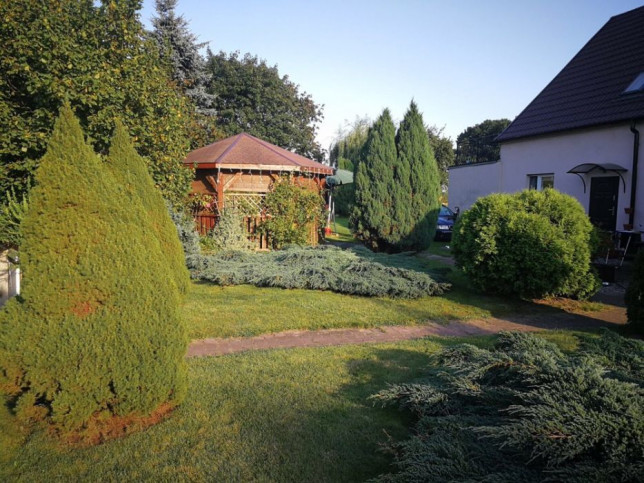 Dom Sprzedaż Goleniów 1