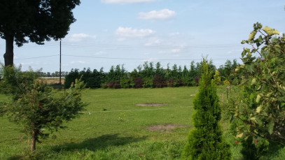 Działka Sprzedaż Nowogard