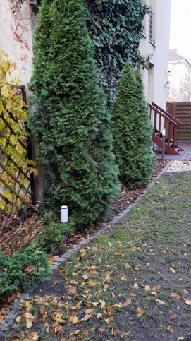 Mieszkanie Wynajem Szczecin Jasne Błonia 7