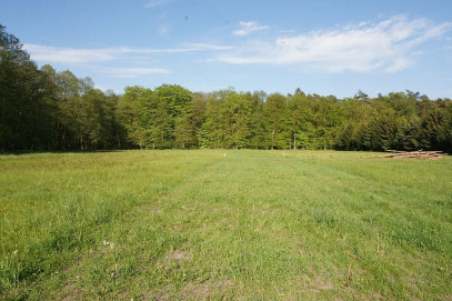 Działka Sprzedaż Krępsko