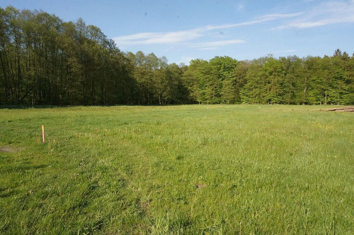 Działka Sprzedaż Krępsko 3