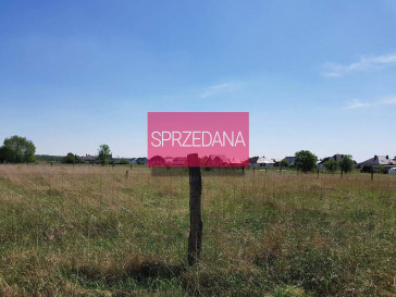 Działka Sprzedaż Czarna Łąka