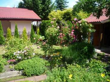 Działka Sprzedaż Bartoszewo