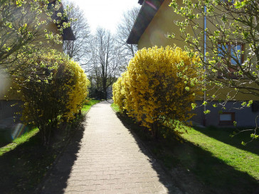 Mieszkanie Sprzedaż Szczecin Pogodno Henryka Rodakowskiego