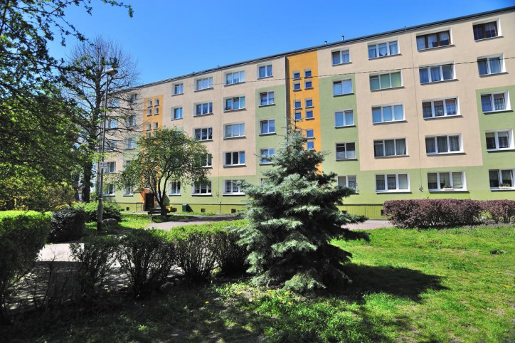 Mieszkanie Wynajem Szczecin Pomorzany Budziszyńska 10