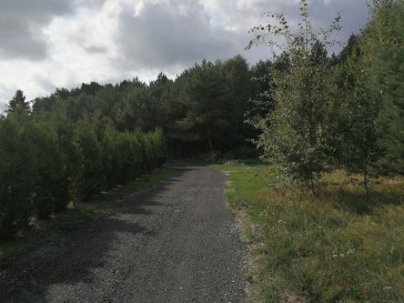 Działka Sprzedaż Tanowo
