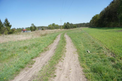 Działka Sprzedaż Rurzyca