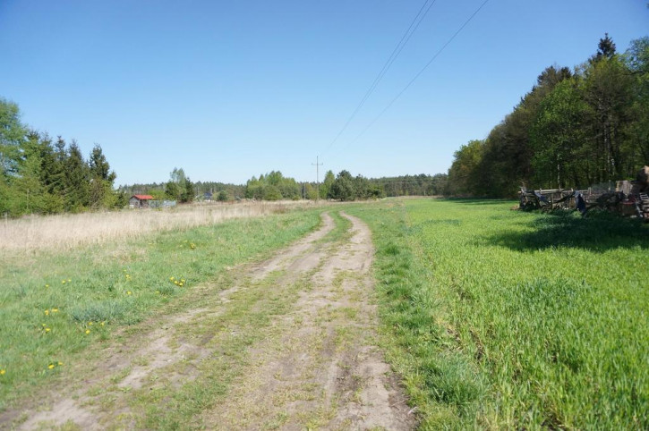 Działka Sprzedaż Rurzyca 7