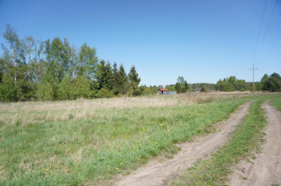 Działka Sprzedaż Rurzyca