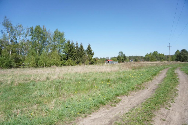 Działka Sprzedaż Rurzyca 8